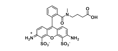 ATTO 488 acid;1443553-08-9
