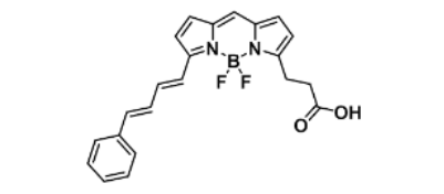 BODIPY 581/591 carboxylic acid