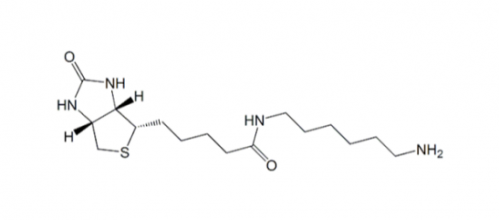 N-Biotinyl-1,6-hexanediamine 生物素-1.6-已二胺