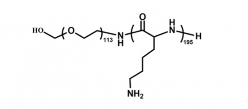 聚赖氨酸-聚乙二醇-羟基，PLL-PEG-OH, Polylysine PEG Conjugate