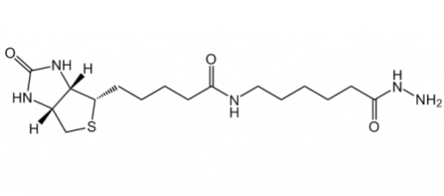 LC-(+)-Biotin hydrazide