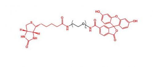 生物素聚乙二醇荧光素 Biotin-PEG-FITC