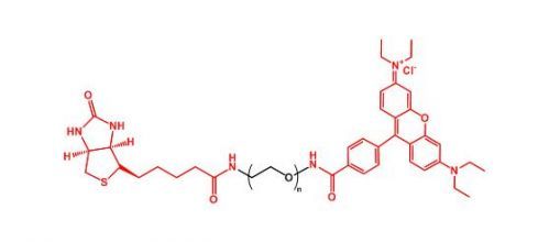生物素聚乙二醇罗丹明 Biotin-PEG-Rhodamine