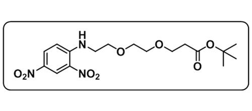 COOtBu-PEG-DNP；DNP-PEG2-t-butyl ester
