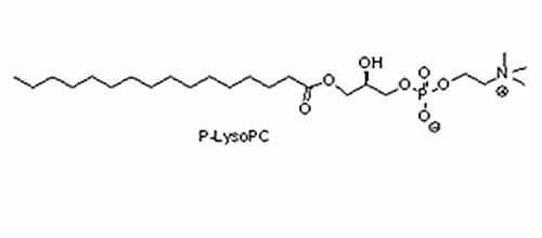棕榈酰溶血卵磷脂（P-LysoPC）,17364-16-8