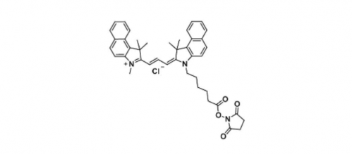 Cy3.5 NHS ester/Cyanine3.5 NHS ester(Methyl)