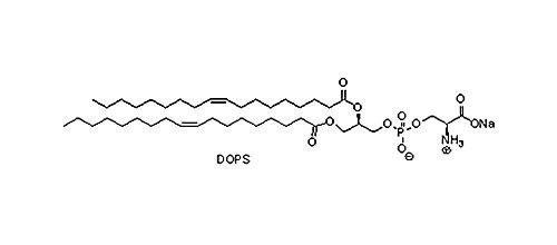 二油酰基磷脂酰丝氨酸钠(DOPS),90693-88-2