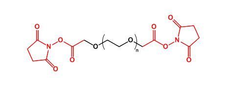 二琥珀酰亚胺乙酸酯聚乙二醇 SCM-PEG-SCM