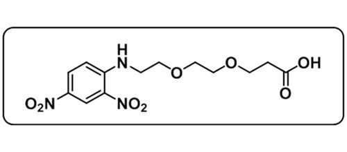 DNP-PEG2-Acid；1353011-89-8