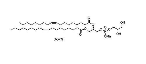 1,2-二油酰基-sn-甘油-3-磷酰-rac-(1-甘油) 钠盐(DOPG)，67254-28-8