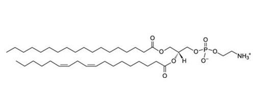 1-硬脂酰-2-亚油酸-sn-甘油-3-磷酸乙醇胺(18:0 -18:2 PE)，7266-53-7