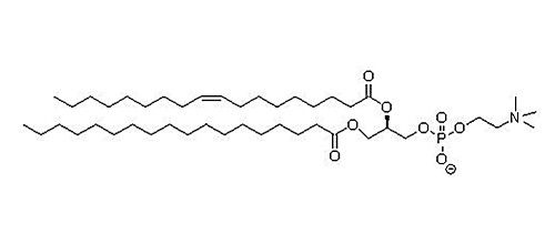 1-硬脂酰基-2-油酰基卵磷脂（SOPC)，56421-10-4