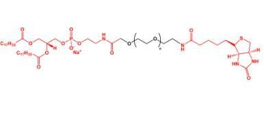 磷脂聚乙二醇生物素 DSPE-PEG-Biotin