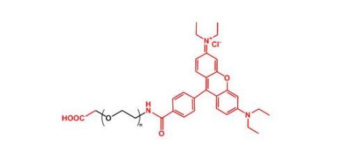 活性酯聚乙二醇罗丹明 NHS-PEG-Rhodamine