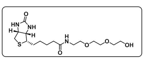 Biotin-PEG3-OH；289714-02-9