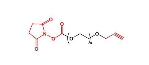 活性酯聚乙二醇丙炔 NHS-PEG-Alkyne