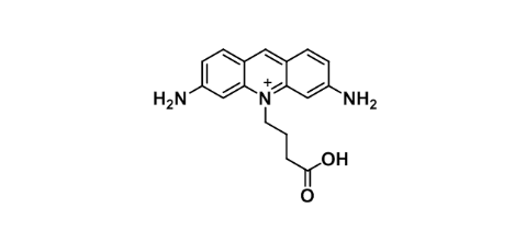 ATTO 465 acid；1156537-96-0