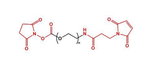 活性酯聚乙二醇马来酰亚胺 NHS-PEG-MAL