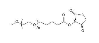 甲氧基聚乙二醇琥珀酰亚胺戊酸酯 mPEG-SVA