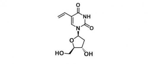 5-vinyl-2-deoxyuridine 5-乙烯基-2-脱氧尿苷
