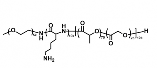 甲氧基聚乙二醇-聚赖氨酸-聚（D，L-丙交酯-co-乙交酯）共聚物 mPEG-PLL-PLGA