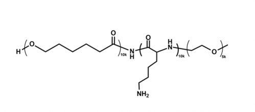 甲氧基聚乙二醇-聚赖氨酸-聚己内酯 mPEG-PLL-PCL
