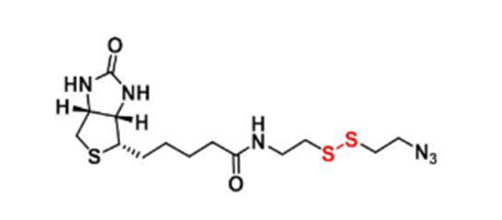 Biotin-SS-azide