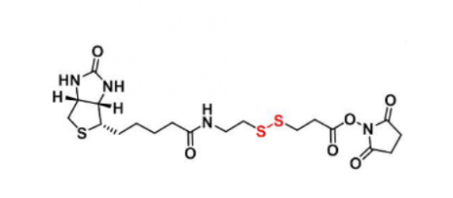 Biotin-SS-NHS 生物素-二硫-活性酯