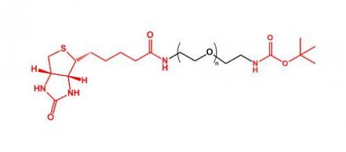 生物素聚乙二醇叔丁氧羰基 Biotin-PEG-NH-Boc