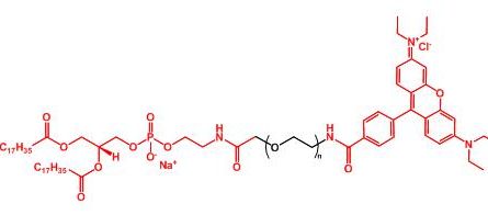罗丹明聚乙二醇磷脂 Rhodamine-PEG-DSPE