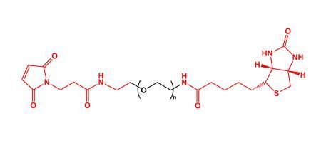 马来酰亚胺聚乙二醇生物素 MAL-PEG-Biotin