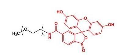 甲氧基聚乙二醇荧光素 mPEG-Fluoresein