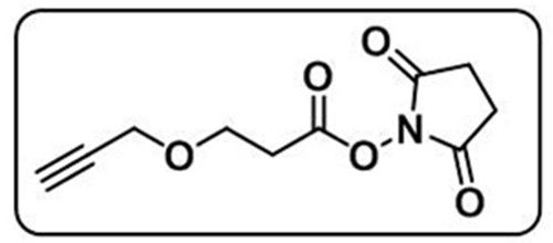 Alkyne-PEG1-NHS ester；1174157-65-3