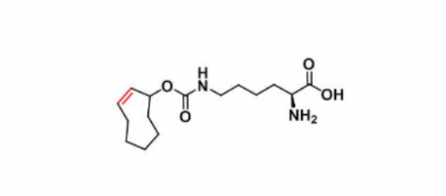 N-(2E)-TCO-L-lysine 反式环辛烯-赖氨酸