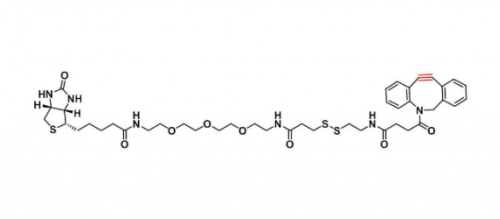 CAS:1255942-07-4 DBCO-PEG4-Biotin