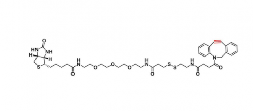 CAS:1430408-09-5 Biotin-PEG3-SS-DBCO
