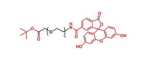 叔丁酯聚乙二醇荧光素 COOtBu-PEG-FITC