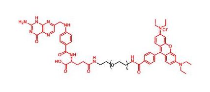 罗丹明聚乙二醇叶酸 RB-PEG-FA