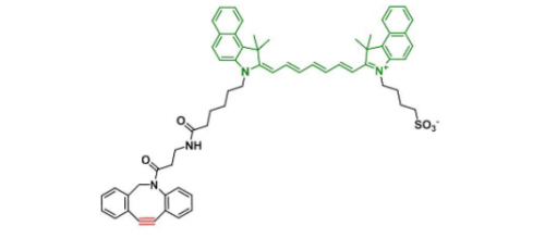 二苯基环辛炔-吲哚菁绿 DBCO-ICG