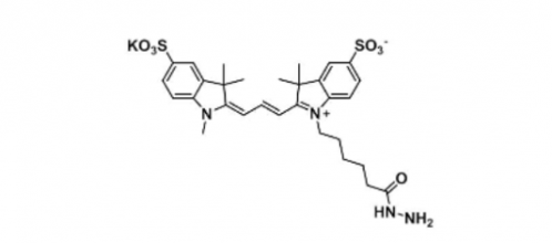 diSulfo-Cy3 hydrazide/水溶性CY3 hydrazide