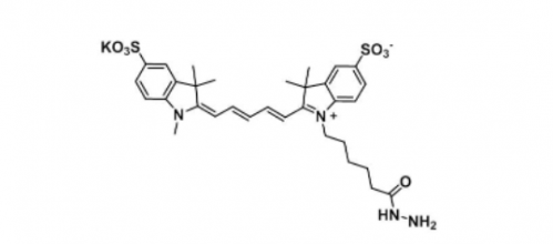 diSulfo-Cy5 hydrazide/水溶性Cy5 hydrazide