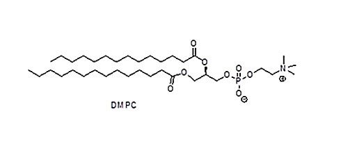 二肉豆蔻酰磷脂酰胆碱（DMPC)，18194-24-6
