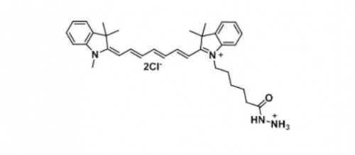 Cy7 hydrazide/Cyanine7 hydrazide