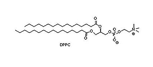 二棕榈酰磷脂酰胆碱（ DPPC)， 63-89-8