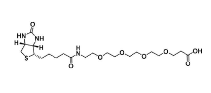 Biotin-PEG4-acid