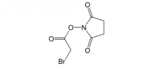SBA; Succinimidyl bromoacetate