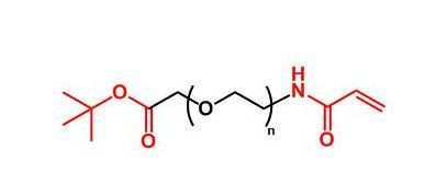 丙烯酰胺聚乙二醇叔丁酯 ACA-PEG-COOtBu