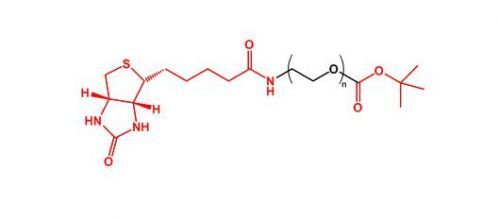 叔丁酯聚乙二醇生物素 tBuCOO-PEG-Biotin