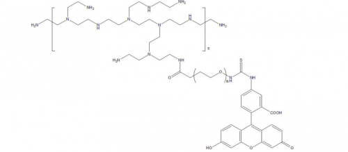 聚乙烯亚胺-聚乙二醇-荧光素，PEI-PEG-FITC