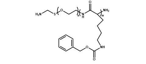 氨基聚乙二醇聚赖氨酸苄酯 NH2-PEG-PZLL